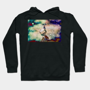 "Songbird & Fairy Lights" Hoodie